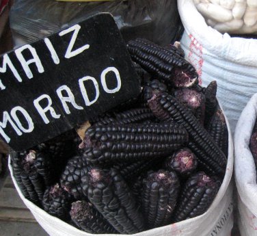 Rare Peruvian Corn Organic Heirloom Purple Maiz Morado Corn Zea mays var. - 40 Seeds