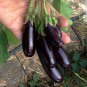 Goth Garden Eggplant Aubergine Little Fingers Solanum melongena - 25 Seeds