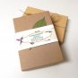 Habitat for Hummingbirds Flower Seed Collection - 6 Varieties