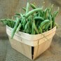 Heirloom Landreths Stringless Green Beans Phaseolus vulgaris - 80 Seeds