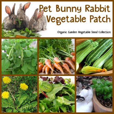 Organic Pet Bunny Rabbit Vegetable Patch Seed Collection - 6 Varieties
