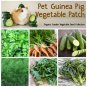 Organic Pet Guinea Vegetable Patch Seed Collection - 6 Varieties