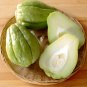Exotic Fresh Organic Chayote Mirliton Pear Squash Sechium edule - 6 Whole Fruits