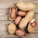 Peanut Plant Arachis hypogaea - 25 Seeds