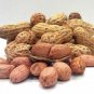 Peanuts Plant Legume Arachis hypogaea - 25 Seeds