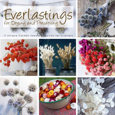 Everlasting Florals Seed Collection - 7 Varieties