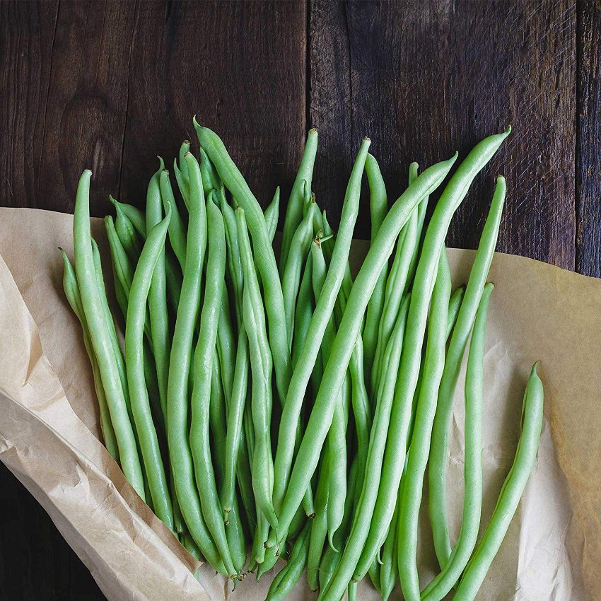 Bulk Heirloom Stringless Green Bush Beans Phaseolus vulgaris 500 Seeds