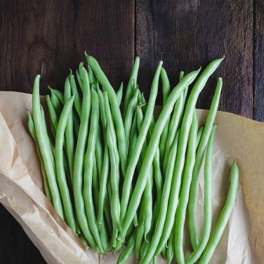 Bulk Heirloom Stringless Green Bush Beans Phaseolus vulgaris - 500 Seeds