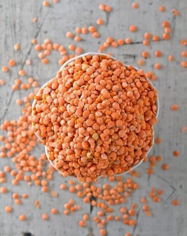 Bulk Organic Red Lentil Lens culinaris - 1000 Seeds