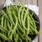 Heirloom Early Contender Green Bean Phaseolus vulgaris - 80 Seeds
