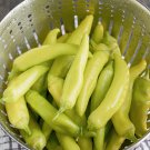 Bulk Heirloom Sweet Banana Pepper Capsicum annuum - 500 Seeds