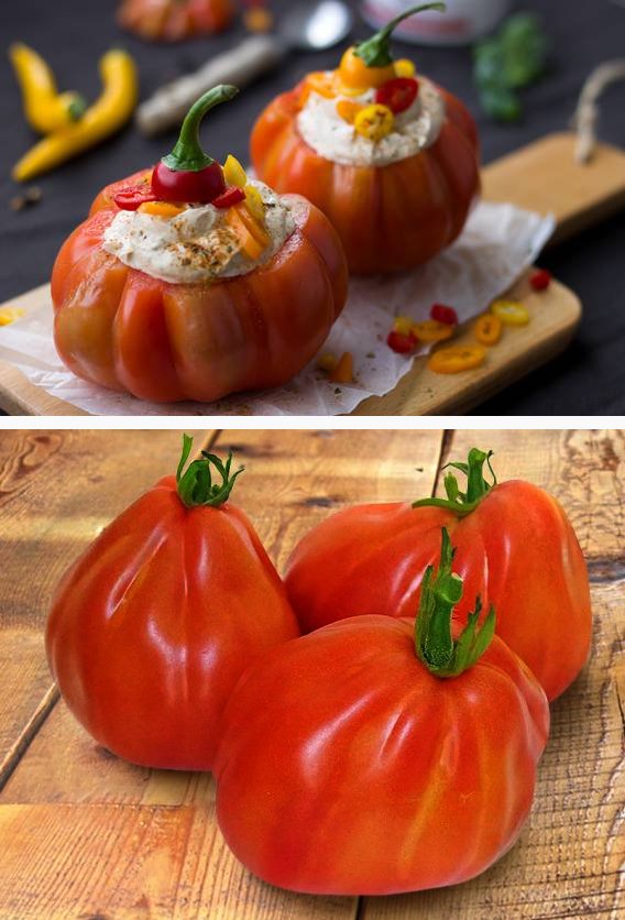 French Heirloom Tomato Coeur de Boeuf d'Albenga Solanum Lycopersicum