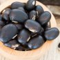 Ornamental Velvet Bean Vine Mucuna Pruriens - 7 Seeds