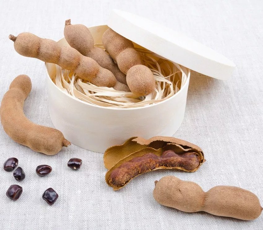 Sweet Tamarind Tamarindus indica - 8 Seeds