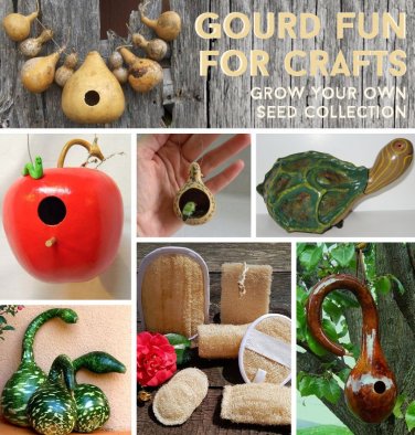 Crafters Hard Gourd Seed Collection - 7 Varieties