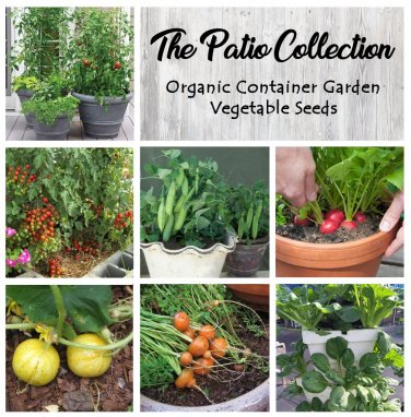 Patio or Balcony Organic Container Vegetable Seed Collection - 6 Varieties