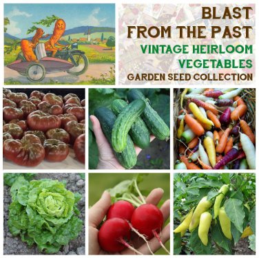 Old Time Heritage Vegetable Seed Collection - 6 Varieties