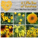 Cheery Little Box of Sunshine Yellow Flower Seed Collection - 6 Varieties