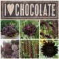 Box of Chocolate Garden Flower Seed Collection 6 Varieties