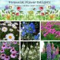Unique Perennial Garden Flower Seed Collection - 6 Varieties