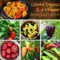 Colorful Sweet Pepper Seeds Collection - 6 Varieties