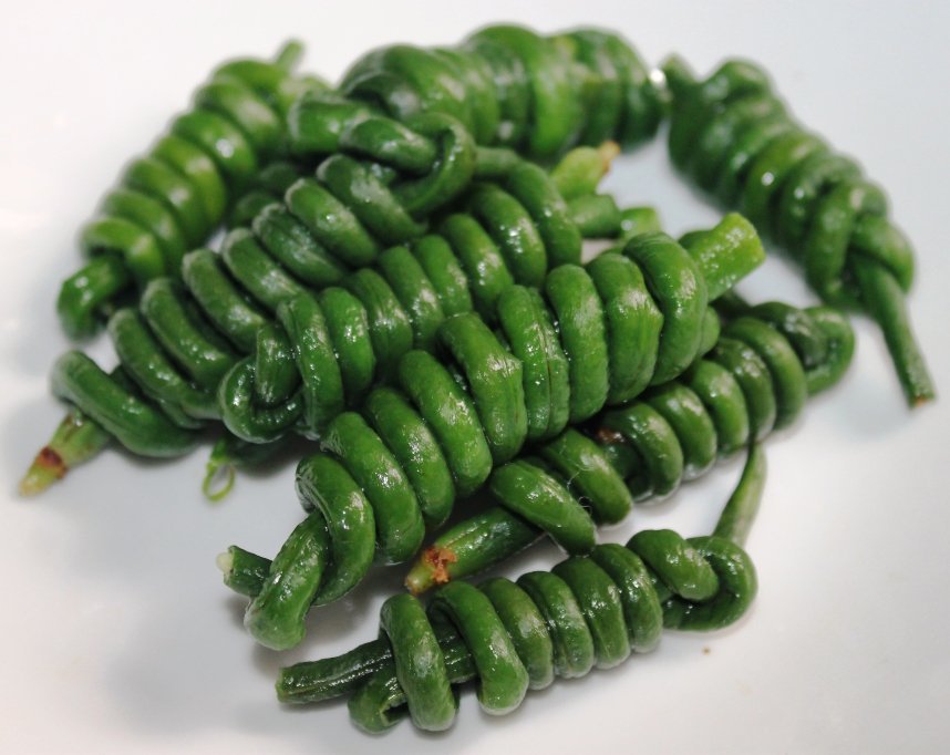 Organic Dark Green Chinese Long Bean Vigna Unguiculata Sesquipedalis