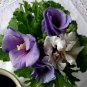 Blue Wheel Purple Hardy Hibiscus Rose of Sharon Hibiscus syriacus - 15 Seeds