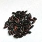 Heirloom Black "Forbidden" Rice Plant Organic Seeds Oryza sativa - 150 Seeds