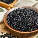 Heirloom "Forbidden" Black Rice Plant Seeds Organic Oryza sativa - 150 Seeds