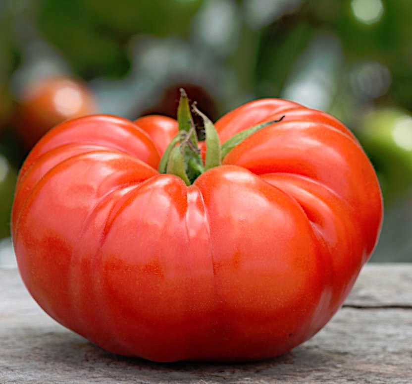 Heirloom Beefsteak Tomato Italian Giant Solanum Lycopersicum - 30 Seeds