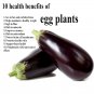 Eggplant Black Beauty Heirloom Aubergine Solanum melongena - 50 Seeds