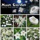 Moon Garden Starter White Flower Seed Collection 6 Varieties