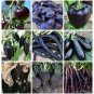 Almost Black Heirloom Heritage Vegetable Seed Collection 9 Varieties