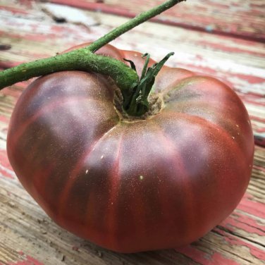 Heirloom Tomato Organic True Black Brandywine Lycopersicon lycopersicum - 30 Seeds