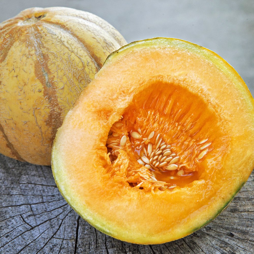 Rare Canadian Heirloom Oka Melon Bizard Island Strain Cucumis Melo 20