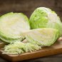 Danish Heirloom Cabbage Early Market Copenhagen Brassica oleracea capitata - 150 Seeds