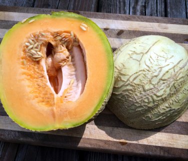 Amish Heirloom Cantaloupe Melon Cucumis melo - 25 Seeds