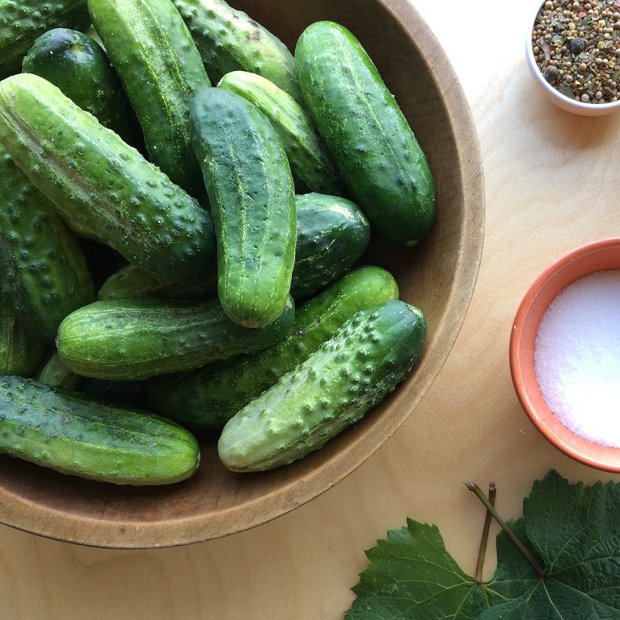Organic Heirloom Boston Pickling Cucumber Cucumis sativus 30 Seeds