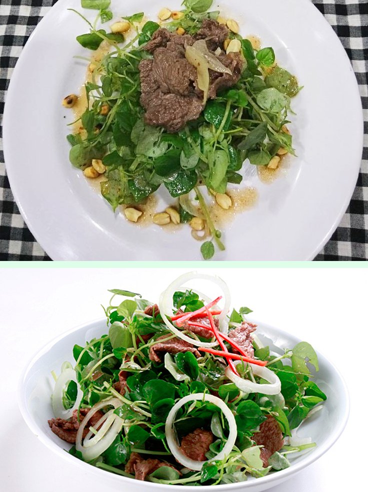 Rare Shiny Bush Crab Claw Herb Peperomia pellucida 30 Seeds