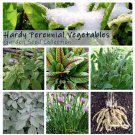 Perennial Heirloom Vegetables Cold Hardy Seed Collection - 6 Varieties