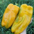 Sweet Pepper Yellow Monster Capsicum annuum - 20 Seeds