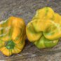 Sweet Pepper Yellow Monster Capsicum annuum - 20 Seeds
