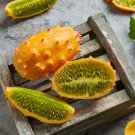 Tropical Kiwano Horned Melon Cucumis metuliferus - 20 Seeds