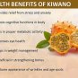 African Kiwano Jelly Melon Cucumis metuliferus - 10 Seeds