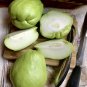 Organic Chayote Pear Squash Mirliton Sechium edule - 2 Whole Fruits Seeds