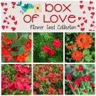 Box of Love Red Flower Seed Collection - 6 Varieties