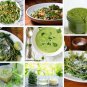 Heirloom Salad Purslane Organic Portulaca oleracea sativa - 100 seeds