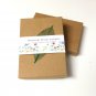 Unique Perennial Garden Flower Seed Collection - 6 Varieties