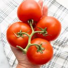 Organic Heirloom Tomato Marglobe Solanum Lycopersicum - 30 Seeds