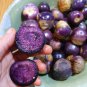 Organic Heirloom Mexican Husk Tomato Purple Tomatillo Physalis ixocarpa - 30 Seeds